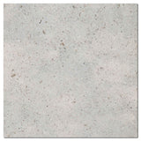 GASCOGNE BLUE 18X18
