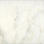 Calacatta Oliva Marble 24x24 Honed Tile - TILE & MOSAIC DEPOT