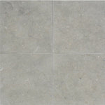 Seagrass Limestone 24x24 Honed Tile - TILE & MOSAIC DEPOT