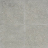 Seagrass Limestone 24x24 Honed Tile - TILE & MOSAIC DEPOT