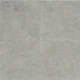 Seagrass Limestone 18x18 Honed Tile - TILE AND MOSAIC DEPOT