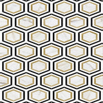 Calacatta Gold Thassos Nero Marquina Hexagon Marble Polished Mosaic Tile.