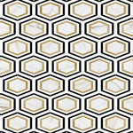 Calacatta Gold Thassos Nero Marquina Hexagon Marble Polished Mosaic Tile.