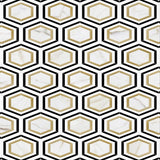 Calacatta Gold Thassos Nero Marquina Hexagon Marble Polished Mosaic Tile.