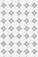 Dolomite White Oak Marble Polished Mosaic Tile - TILE & MOSAIC DEPOT