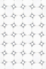 Thassos White Carrara White Bardiglio Marble Special Polished Mosaic Tile - TILE & MOSAIC DEPOT