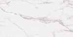 STATUARY WHITE 12X24 R UP.