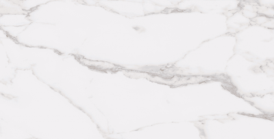 STATUARY WHITE 12X24 R UP.