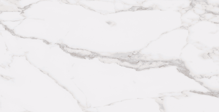 STATUARY WHITE 12X24 R UP.