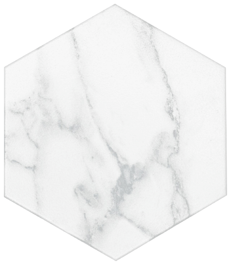 STATUARY 8X9 HEXAGON.
