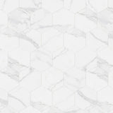 Carrara 9x10 Hexagon