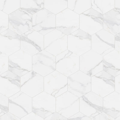 Carrara 9x10 Hexagon