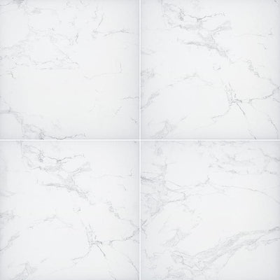 Praia Carrara 24x24 2 cm Porcelain Paver - TILE & MOSAIC DEPOT